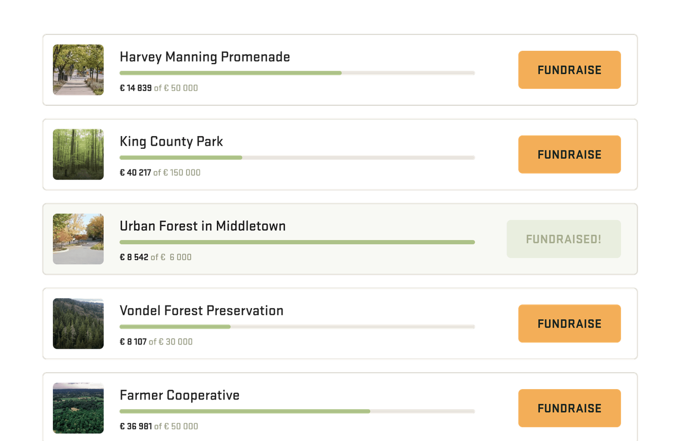 Fundraising projects